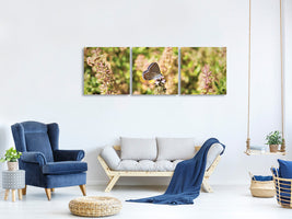 panoramic-3-piece-canvas-print-the-blue