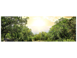 panoramic-canvas-print-at-the-end-of-the-forest