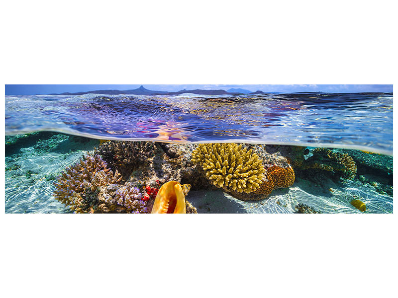 panoramic-canvas-print-lagoon-life