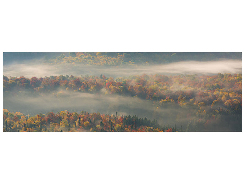 panoramic-canvas-print-misty-morning-ii-a