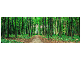 panoramic-canvas-print-pine-forests