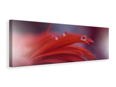 panoramic-canvas-print-red-passion