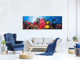 panoramic-canvas-print-reef-life