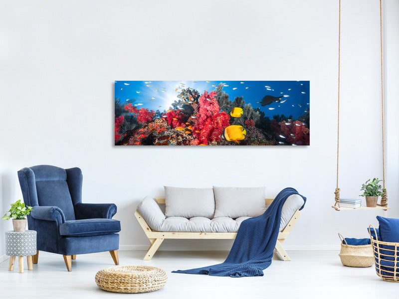 panoramic-canvas-print-reef-life