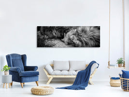 panoramic-canvas-print-sleeping