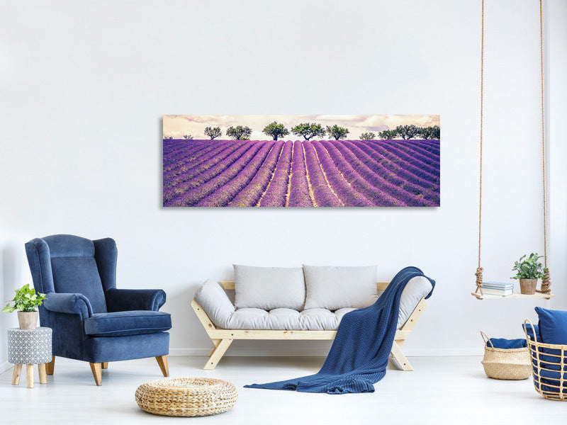 panoramic-canvas-print-the-lavender-field-ii