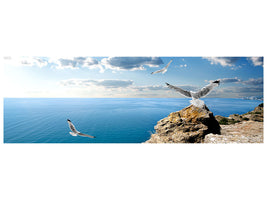 panoramic-canvas-print-the-seagulls-and-the-sea