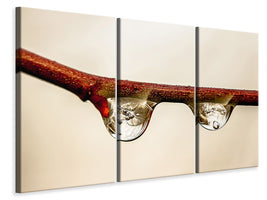 3-piece-canvas-print-2-raindrops