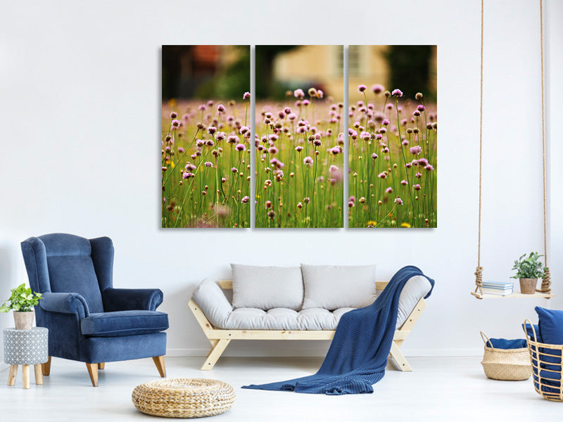 3-piece-canvas-print-a-meadow-full-of-flowers
