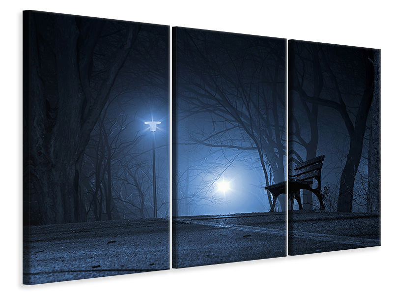 3-piece-canvas-print-at-night-in-the-park