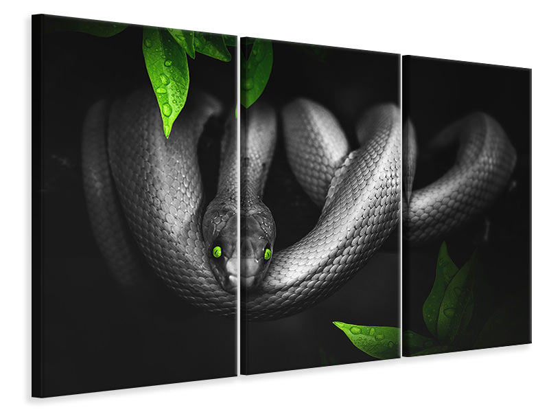 3-piece-canvas-print-attention-snake