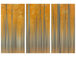 3-piece-canvas-print-autumn-delight-ii