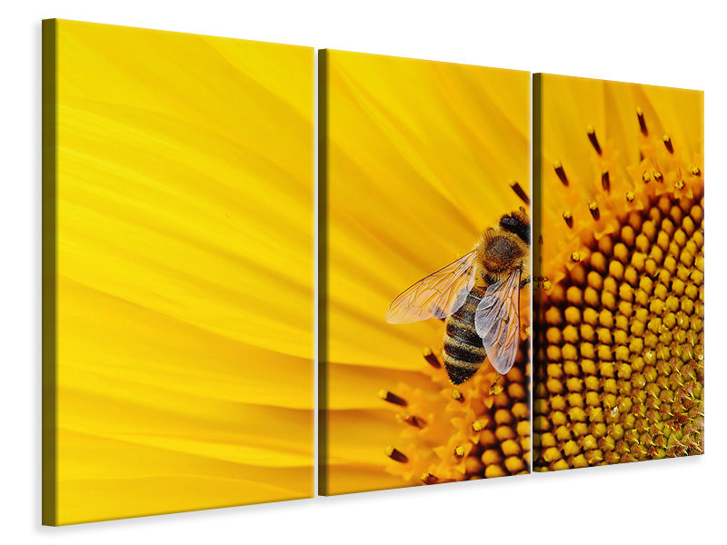 3-piece-canvas-print-bee-on-the-sunflower