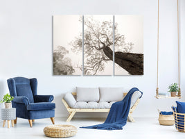 3-piece-canvas-print-between-heaven-and-earth