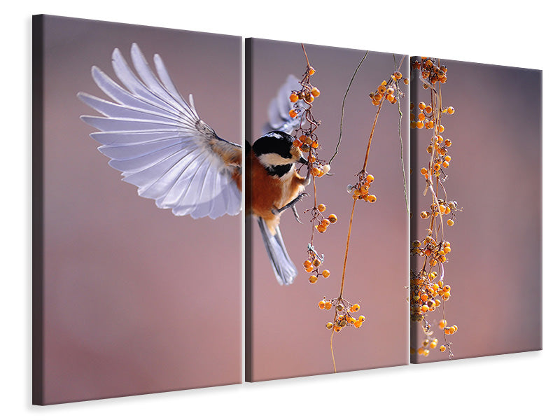 3-piece-canvas-print-bird-in-action