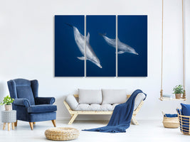 3-piece-canvas-print-bottlenose-dolphins