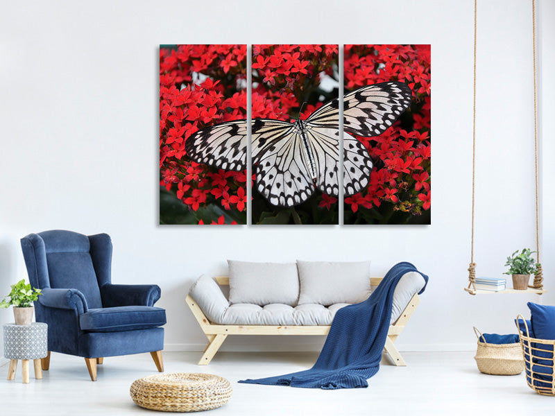 3-piece-canvas-print-butterfly-in-xxl