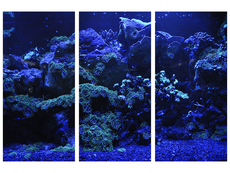 3-piece-canvas-print-coral-reef-in-blue