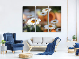 3-piece-canvas-print-daisies-xl