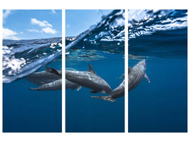 3-piece-canvas-print-dolphins