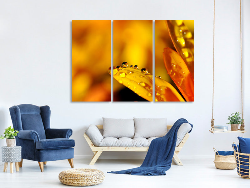 3-piece-canvas-print-drops-close-up