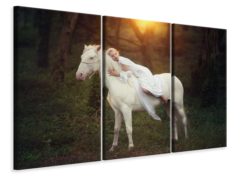 3-piece-canvas-print-emotional