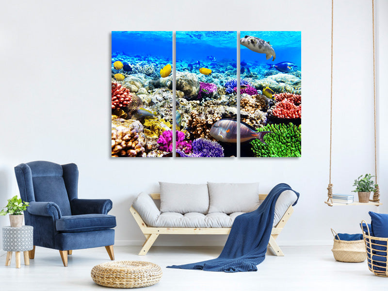 3-piece-canvas-print-fish-aquarium