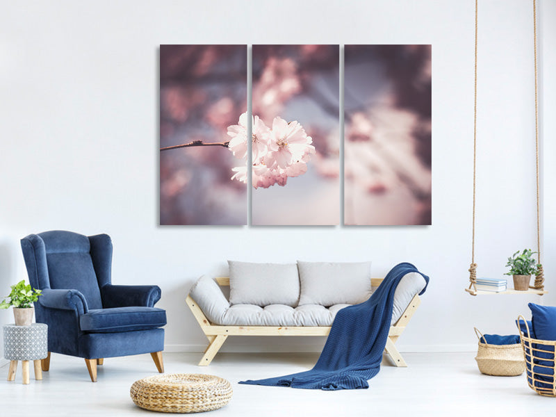 3-piece-canvas-print-flower-xl