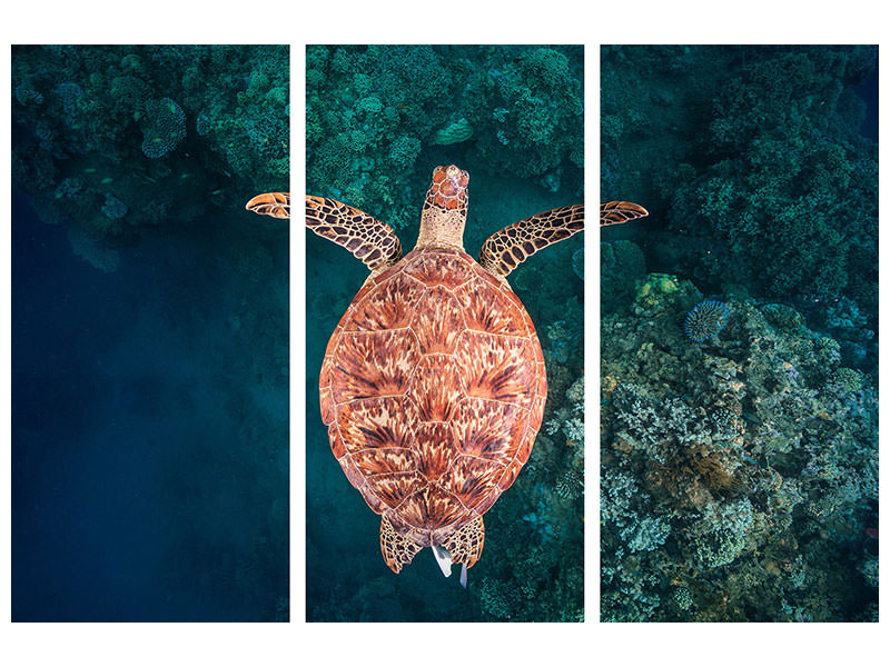 3-piece-canvas-print-flying-over-the-reef