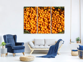 3-piece-canvas-print-fresh-mandarins