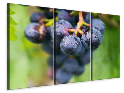 3-piece-canvas-print-grapes