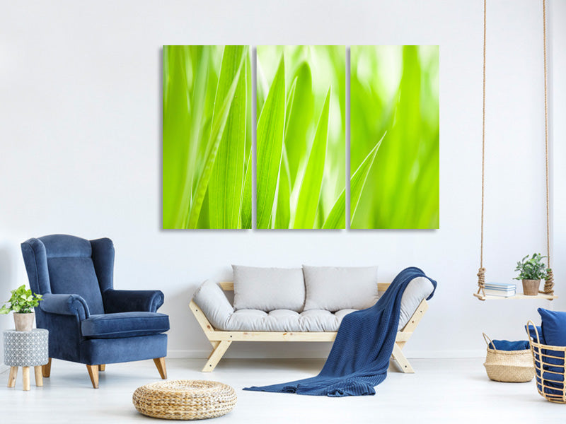 3-piece-canvas-print-grass-xxl