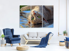 3-piece-canvas-print-green-eye