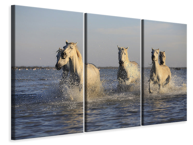 3-piece-canvas-print-horses-in-the-sea