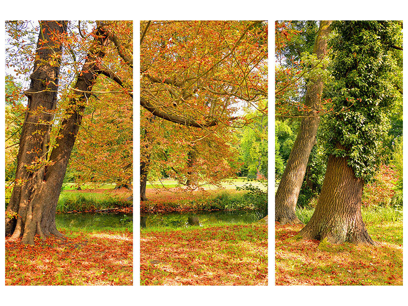 3-piece-canvas-print-in-the-middle-of-autumn-trees