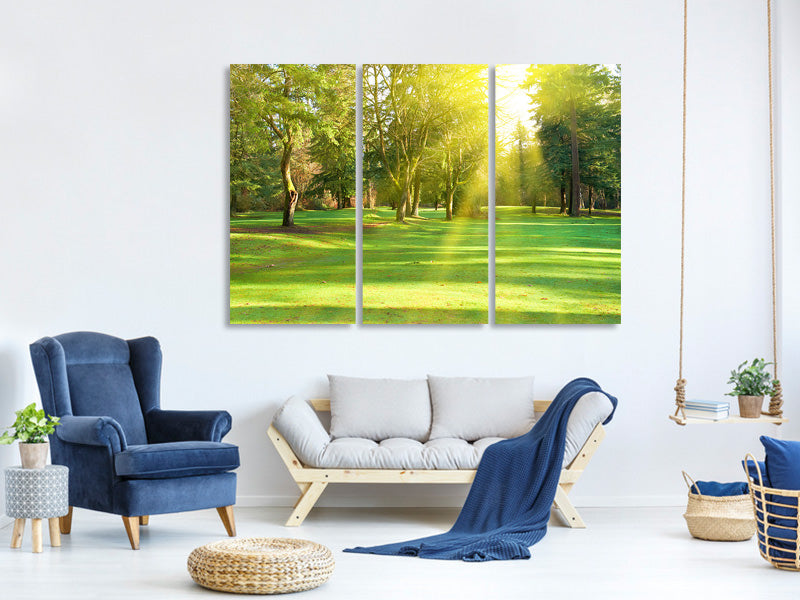 3-piece-canvas-print-in-the-park