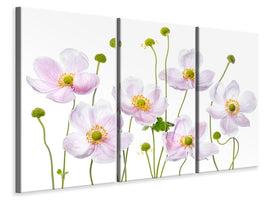 3-piece-canvas-print-japanese-anemones