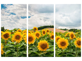 3-piece-canvas-print-landscape-with-sunflowers