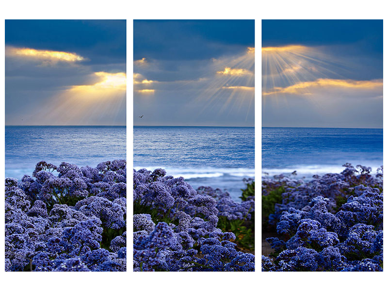 3-piece-canvas-print-lavender-and-sea