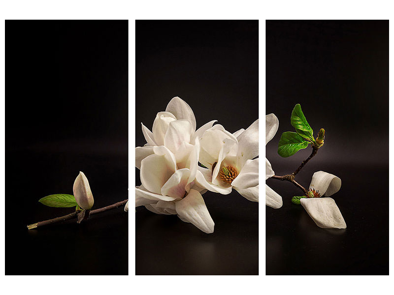 3-piece-canvas-print-magnolia