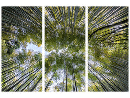 3-piece-canvas-print-many-treetops