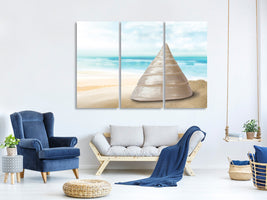 3-piece-canvas-print-marine-snail-xxl