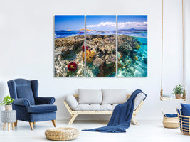 3-piece-canvas-print-mayotte-the-reef
