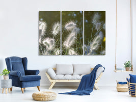 3-piece-canvas-print-ornamental-grasses-in-xl