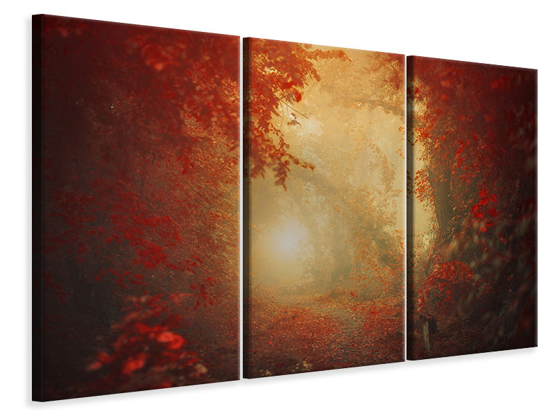 3-piece-canvas-print-personal-journey