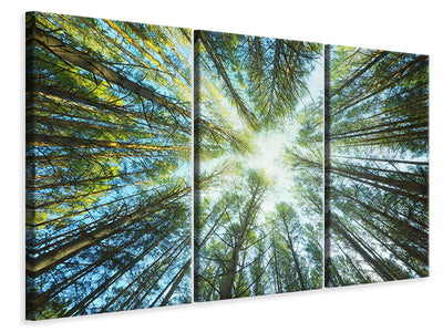 3-piece-canvas-print-pine-forest