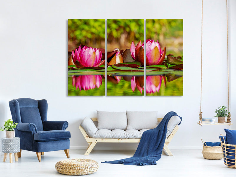 3-piece-canvas-print-red-water-lily-trio