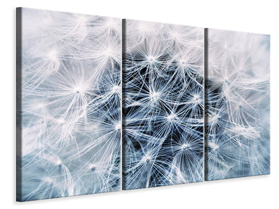 3-piece-canvas-print-ripe-dandelion-close-up