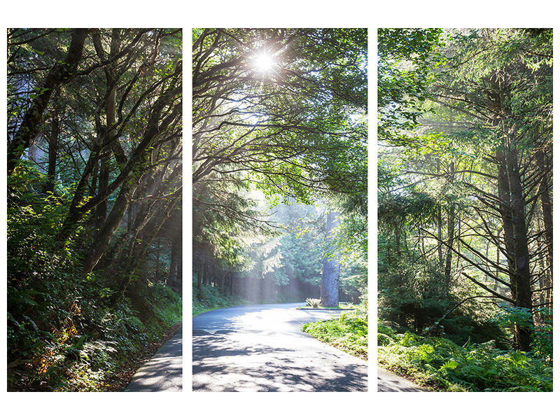3-piece-canvas-print-sunny-forest-path