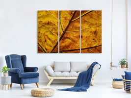 3-piece-canvas-print-the-autumn-leaf